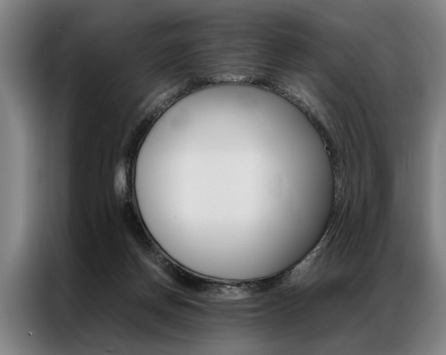 X0000087310166200704200725