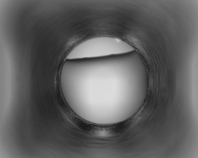X0000087310167200704200725