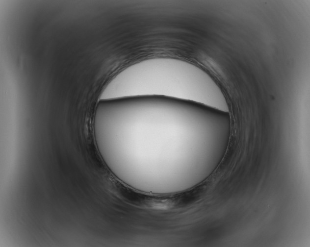 X0000087310169200704200725