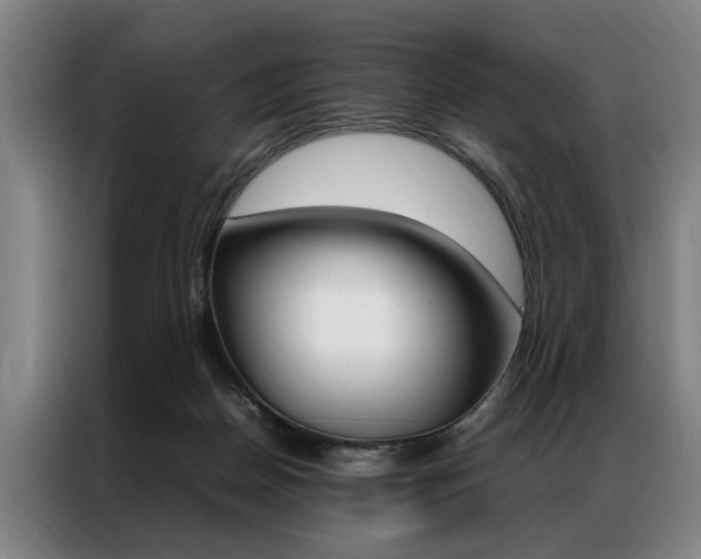 X0000087310170200704200725