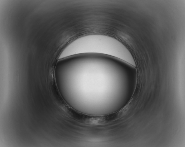 X0000087310172200704200725