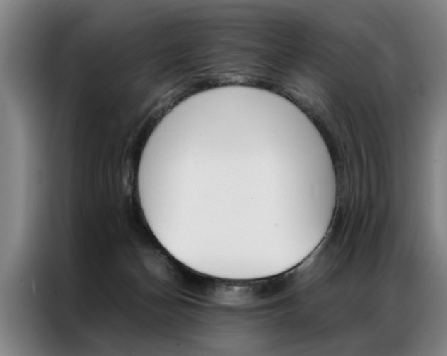 X0000087310174200704200725