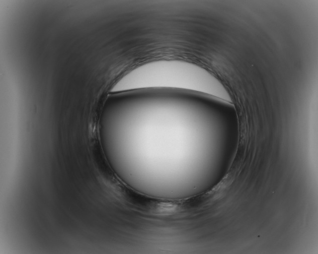 X0000087310176200704200725
