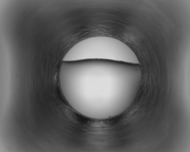 X0000087310177200704200725