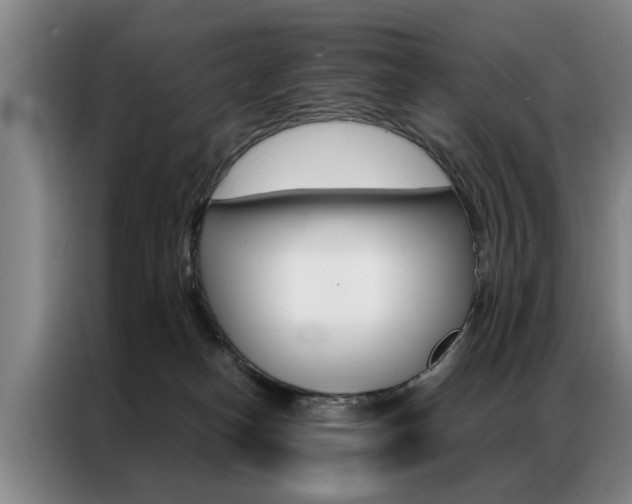 X0000087310182200704200726