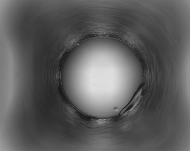 X0000087310184200704200726