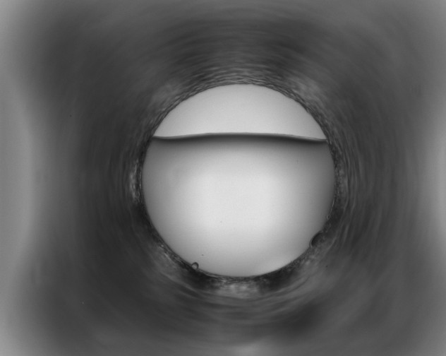 X0000087310185200704200726