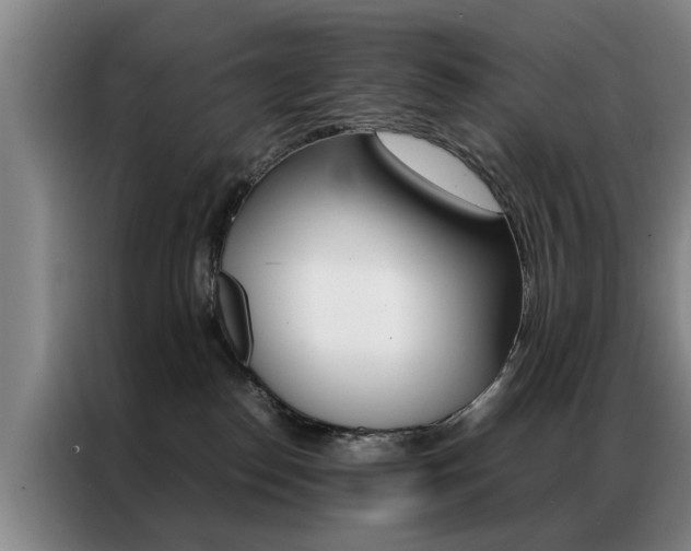 X0000087310186200704200726
