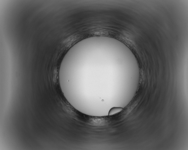 X0000087310189200704200726