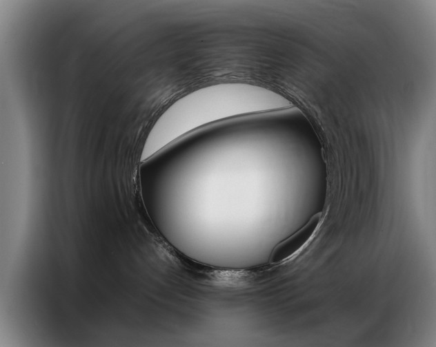 X0000087310192200704200726