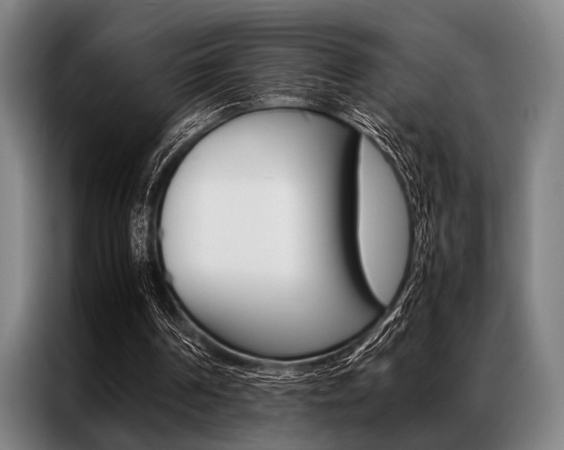 X0000087310194200704200725