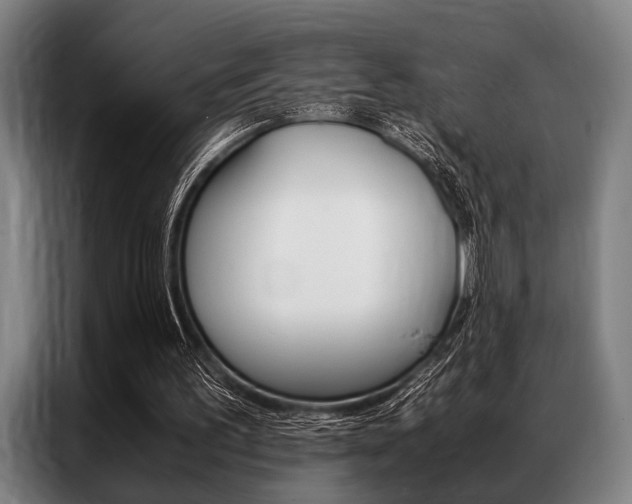 X0000087310195200704200725