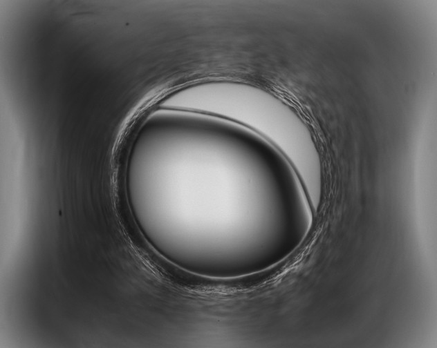X0000087310197200704200725