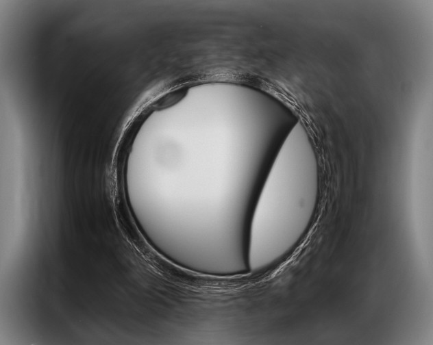 X0000087310198200704200725