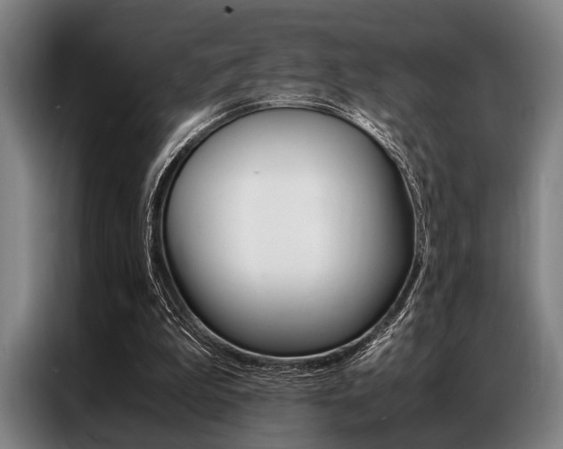 X0000087310199200704200725