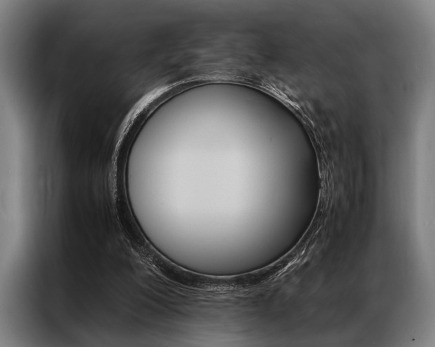 X0000087310200200704200725