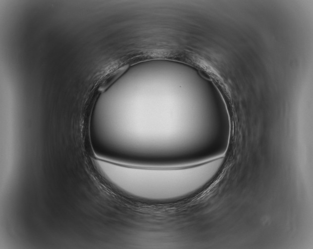 X0000087310201200704200725