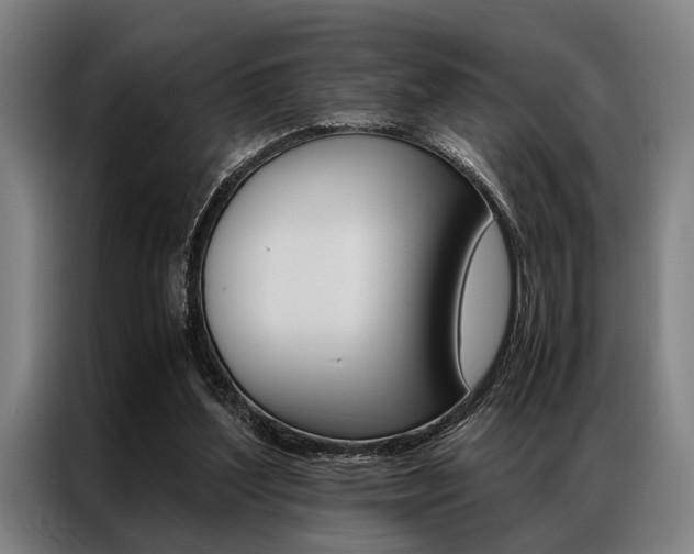 X0000087310204200704200725