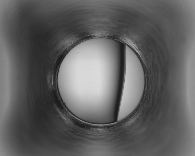 X0000087310205200704200725