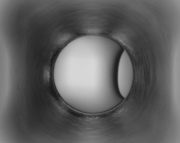 X0000087310206200704200725