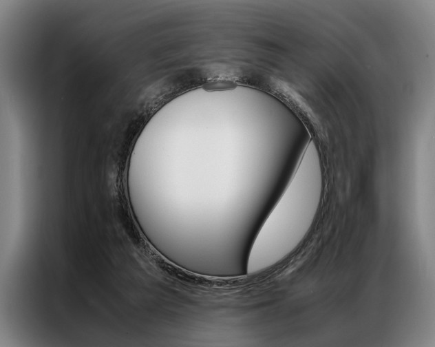 X0000087310209200704200725