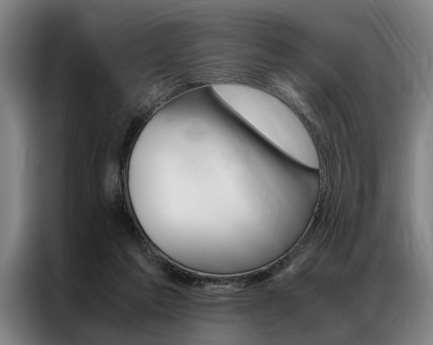 X0000087310213200704200725