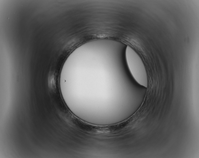 X0000087310214200704200725