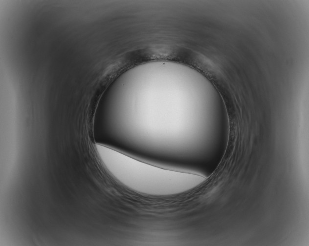 X0000087310215200704200725