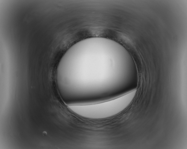 X0000087310221200704200725