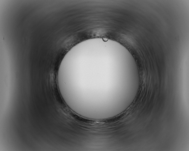 X0000087310222200704200725