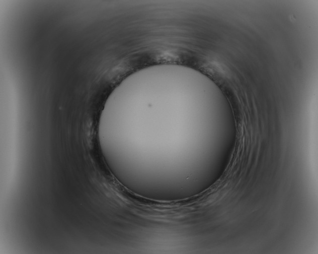 X0000087310223200704200725