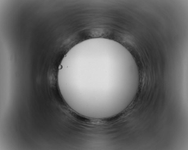 X0000087310226200704200725