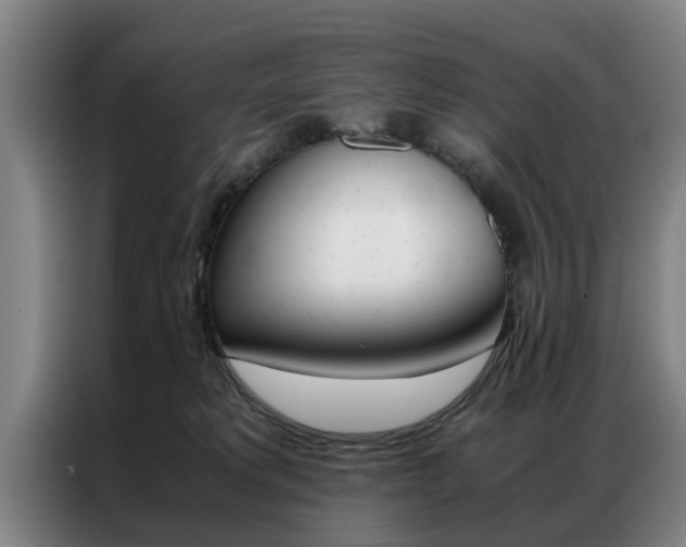 X0000087310229200704200725