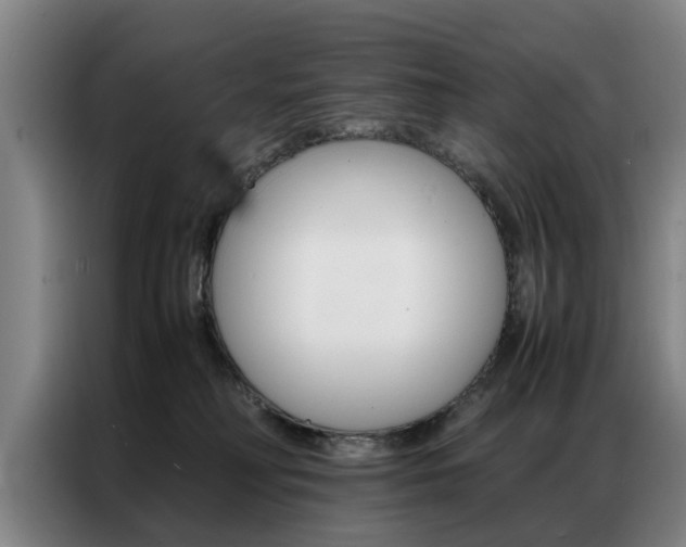 X0000087310230200704200725