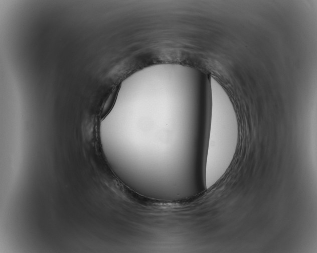 X0000087310233200704200724