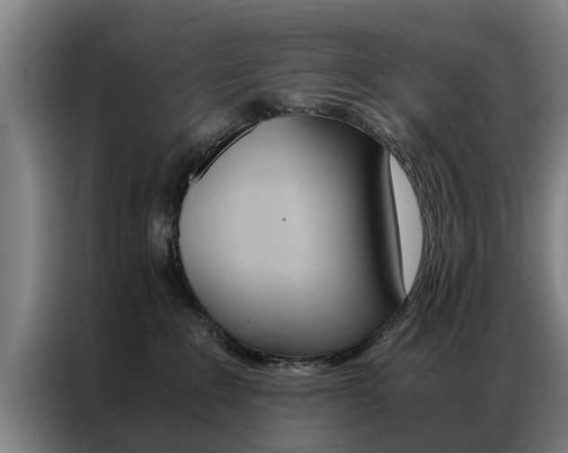 X0000087310235200704200724