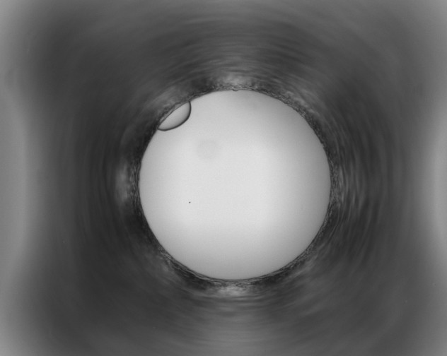 X0000087310236200704200724