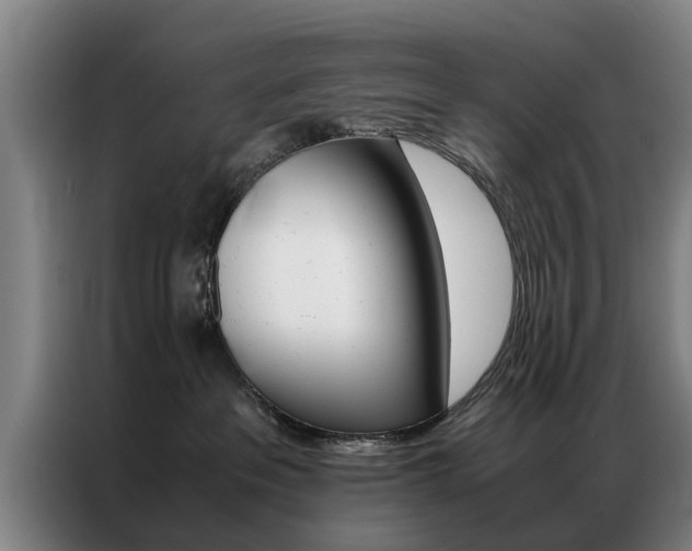 X0000087310237200704200724