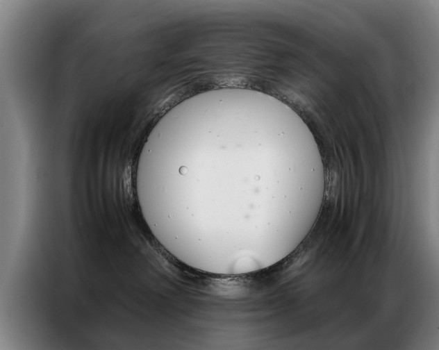 X0000087310238200704200724