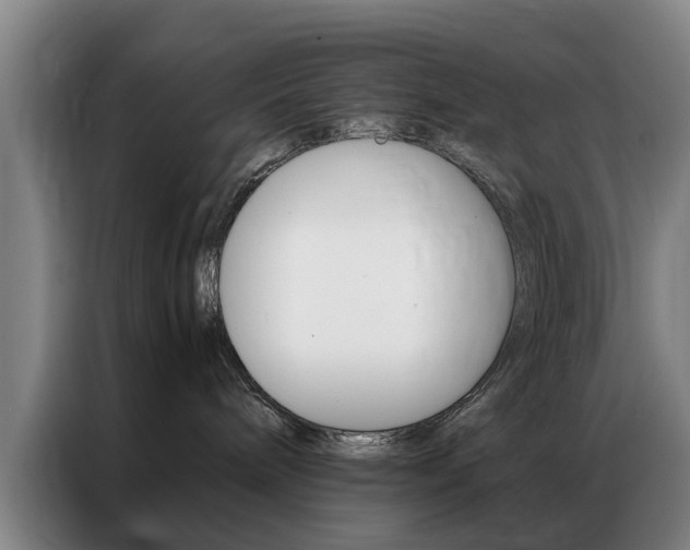 X0000087310240200704200724