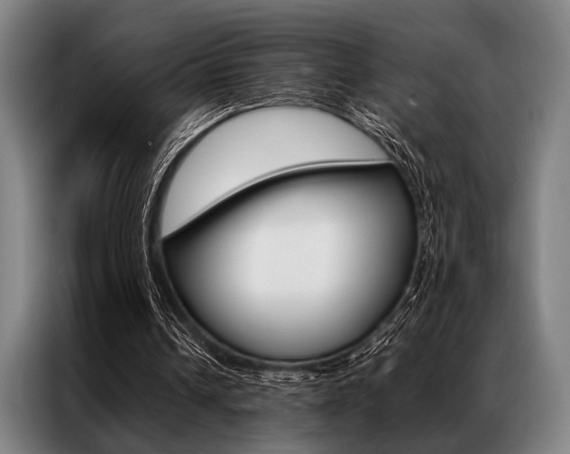 X0000087310242200704200724