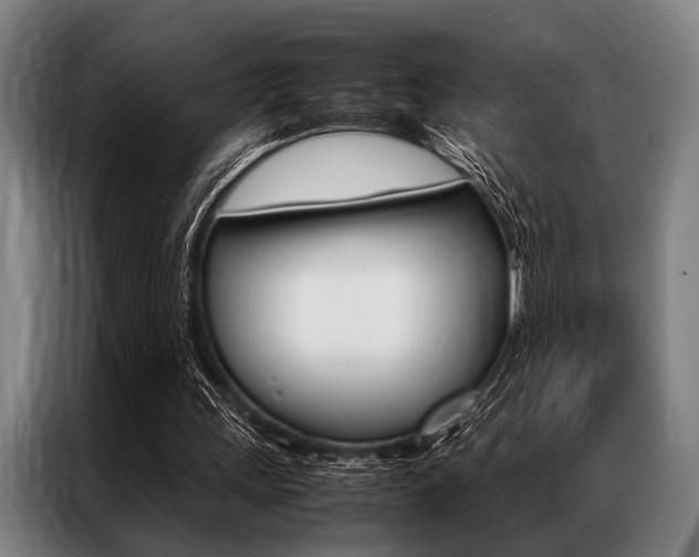 X0000087310243200704200724