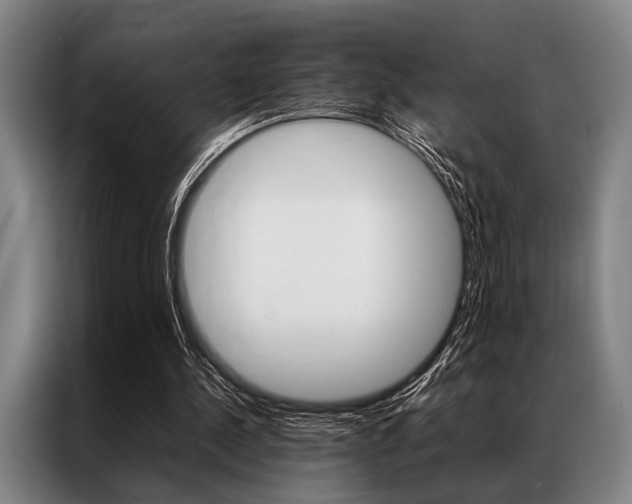 X0000087310244200704200724