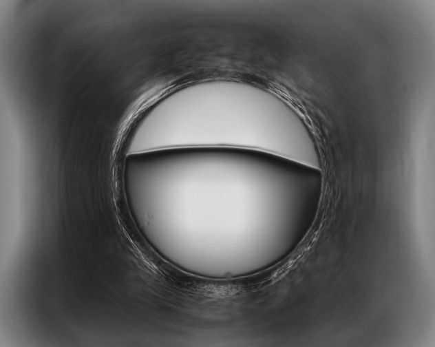 X0000087310245200704200724