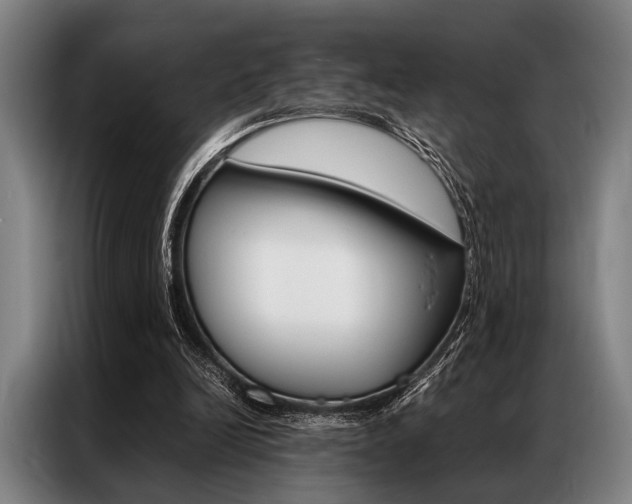 X0000087310246200704200724