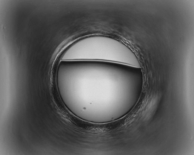 X0000087310247200704200724