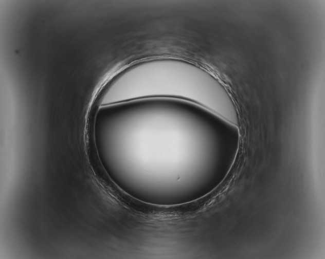 X0000087310248200704200724