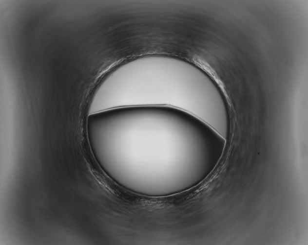 X0000087310249200704200724