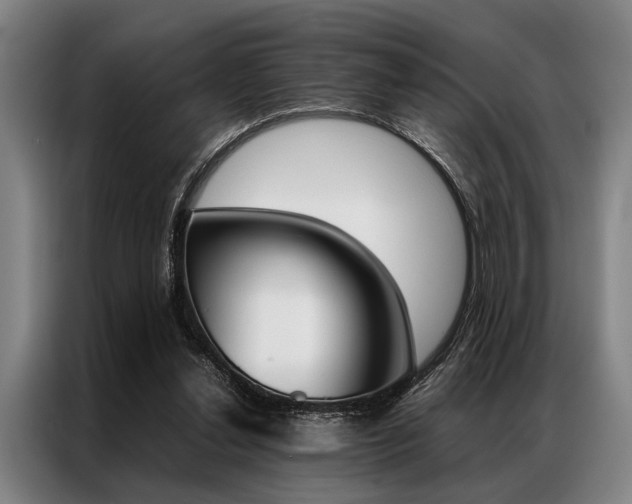 X0000087310252200704200724