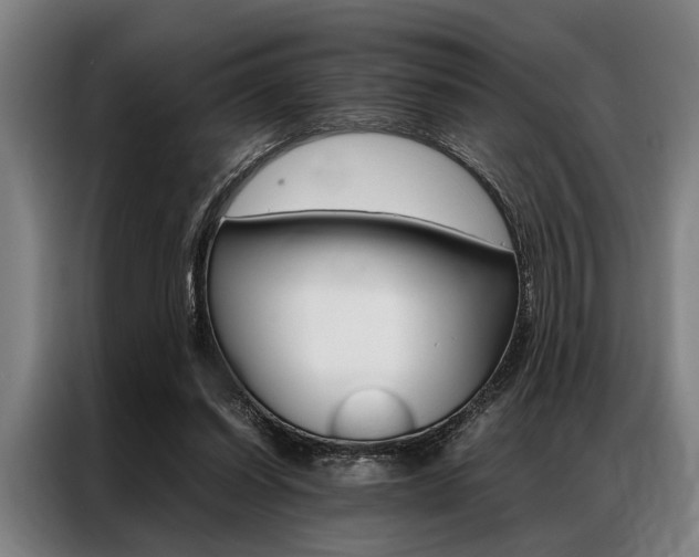 X0000087310254200704200724